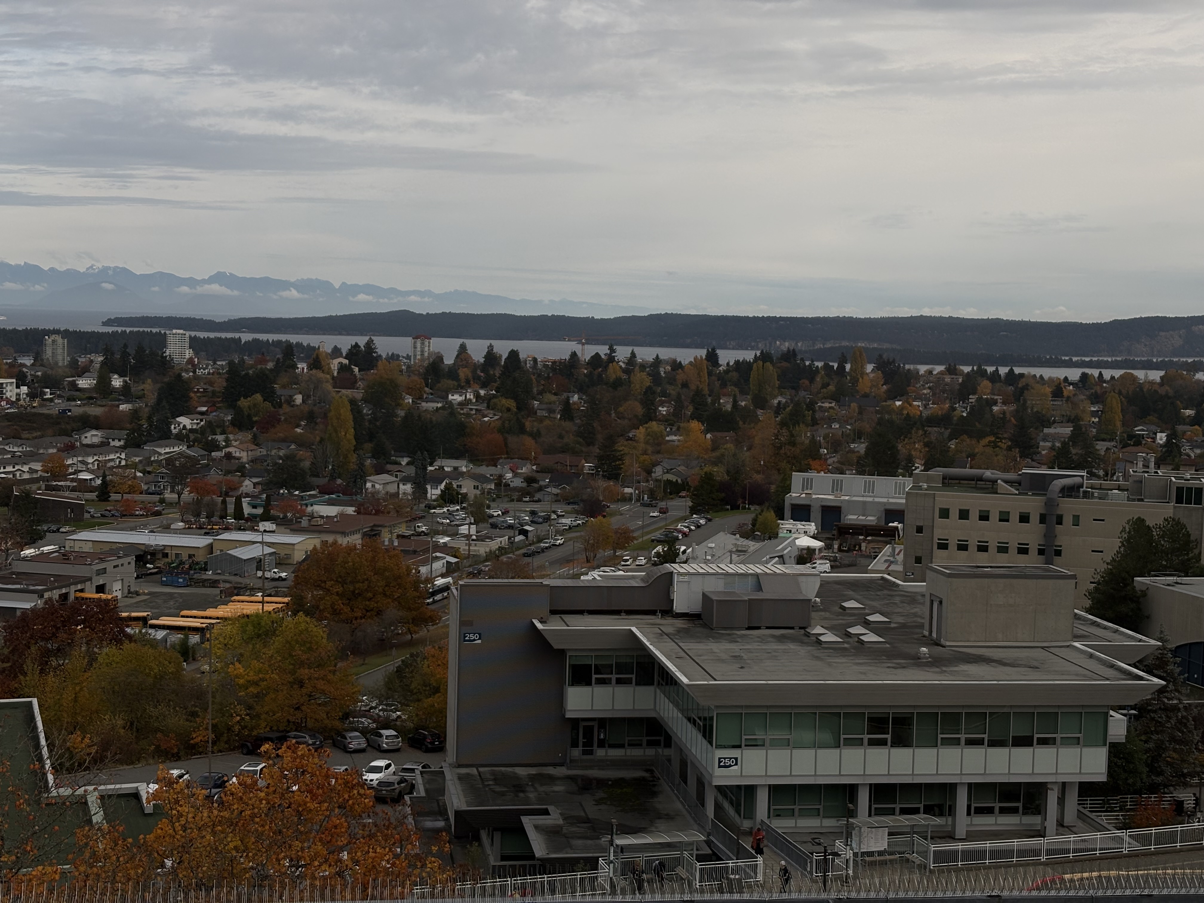view of the VIU library